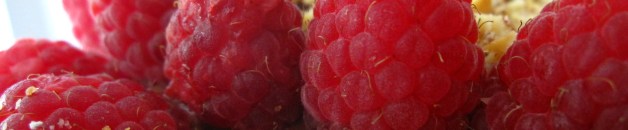 Raspberries on Zuccotto