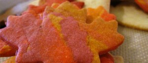 Multicoloured sugar cookie