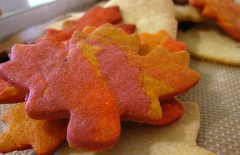 Multi Coloured Cookie