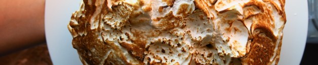 Baked Alaska Top view