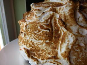 Baked Alaska Dairy Queen Sun Vacation Lovechild