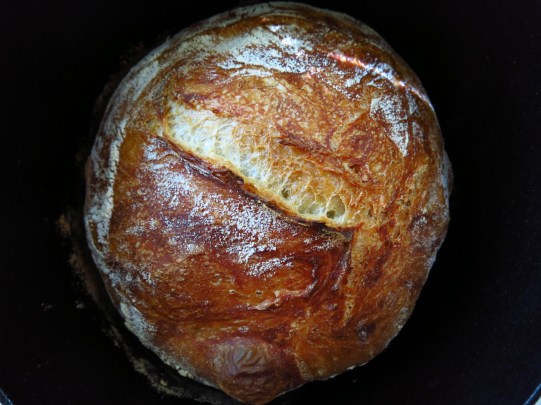 Jim Lahey No Knead Bread